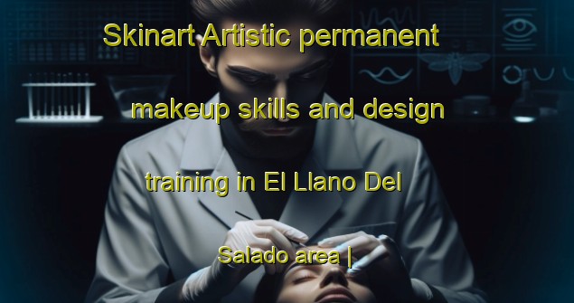 Skinart Artistic permanent makeup skills and design training in El Llano Del Salado area | PermanentmakeupTraining | PermanentmakeupClasses | SkinartTraining-Mexico